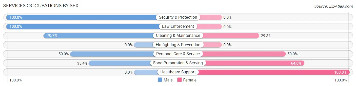Services Occupations by Sex in Blissfield