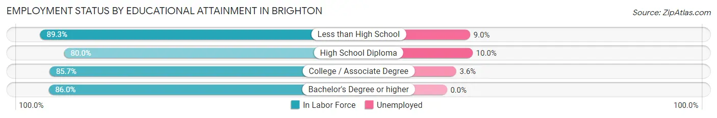 Employment Status by Educational Attainment in Brighton