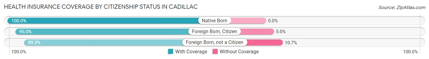 Health Insurance Coverage by Citizenship Status in Cadillac