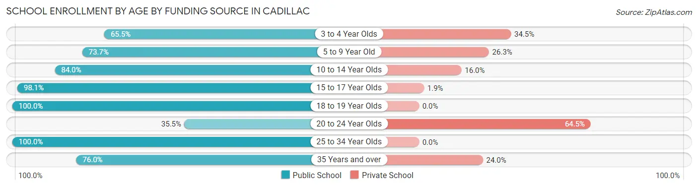 School Enrollment by Age by Funding Source in Cadillac