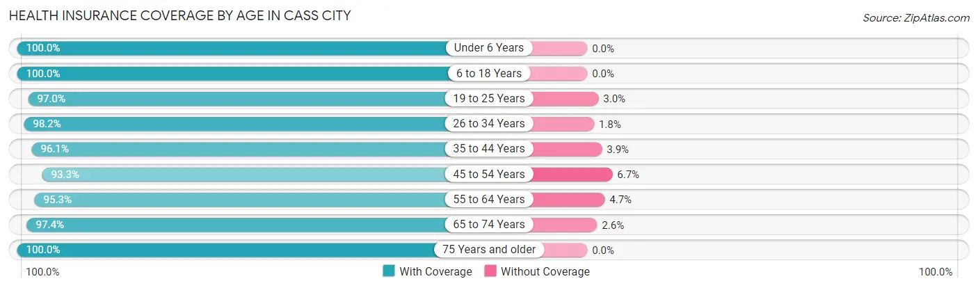 Health Insurance Coverage by Age in Cass City