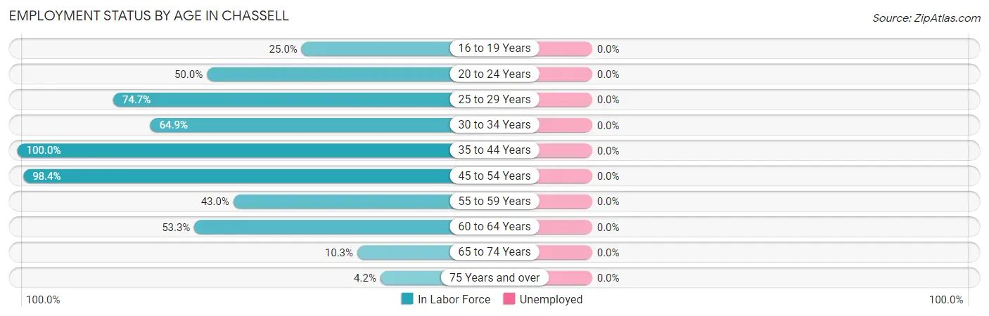 Employment Status by Age in Chassell