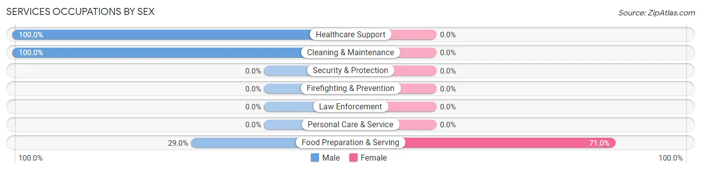 Services Occupations by Sex in Chassell
