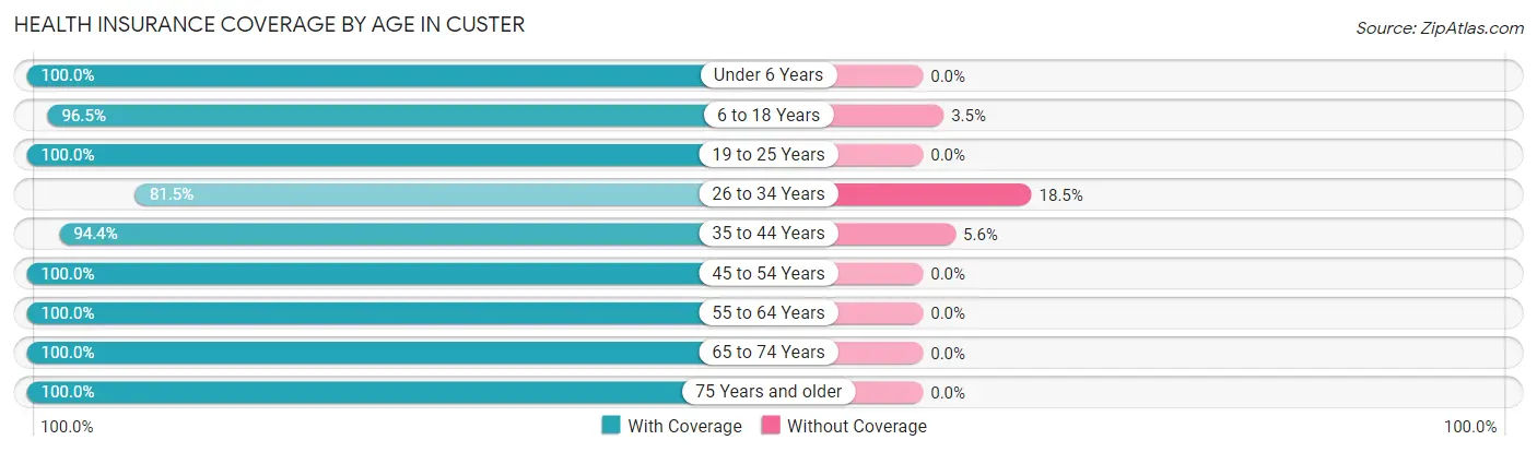 Health Insurance Coverage by Age in Custer