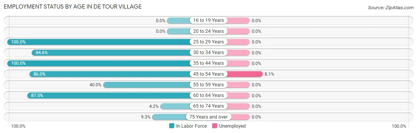Employment Status by Age in De Tour Village