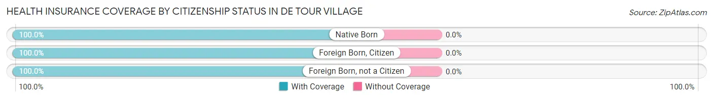 Health Insurance Coverage by Citizenship Status in De Tour Village
