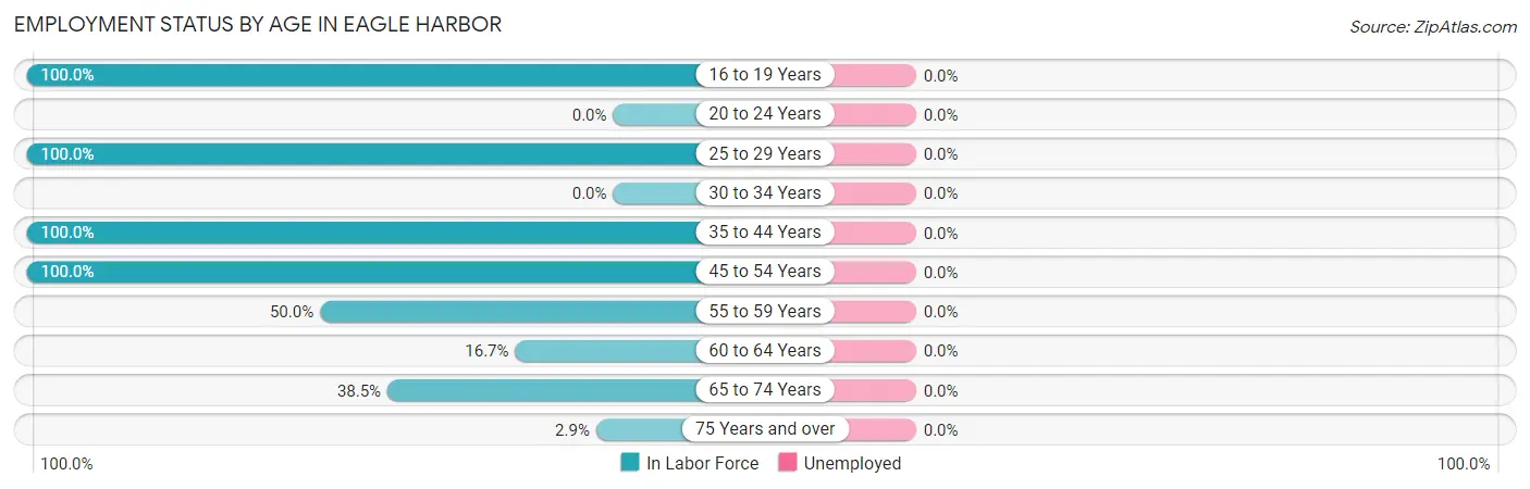Employment Status by Age in Eagle Harbor