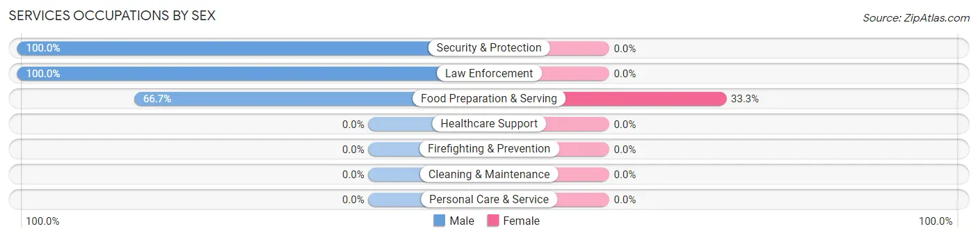 Services Occupations by Sex in Eagle Harbor