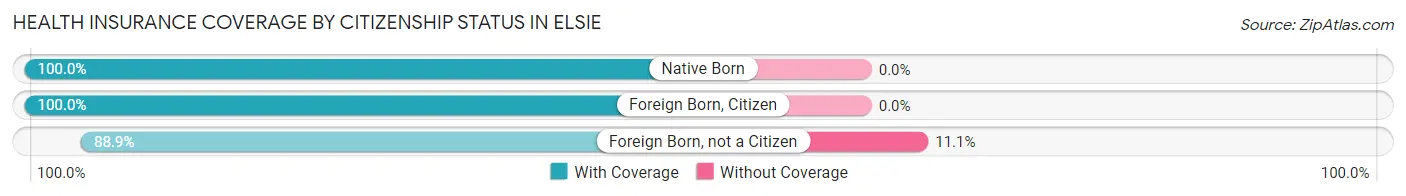 Health Insurance Coverage by Citizenship Status in Elsie