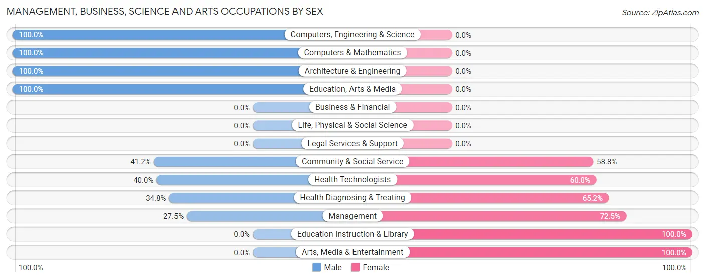 Management, Business, Science and Arts Occupations by Sex in Elsie