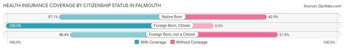 Health Insurance Coverage by Citizenship Status in Falmouth