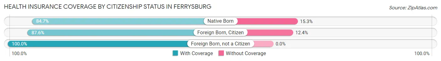 Health Insurance Coverage by Citizenship Status in Ferrysburg