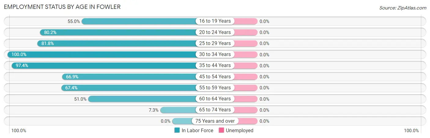 Employment Status by Age in Fowler