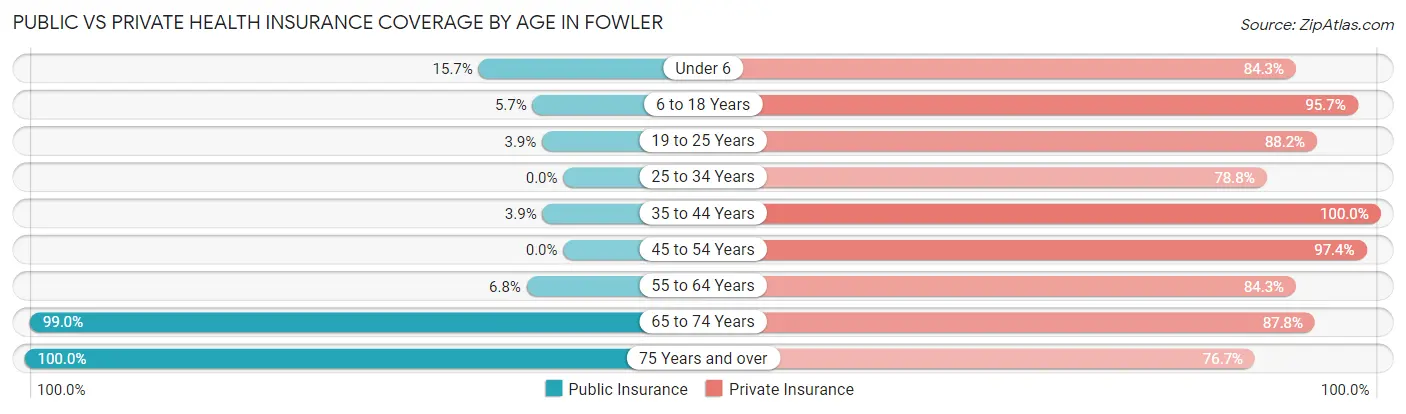 Public vs Private Health Insurance Coverage by Age in Fowler