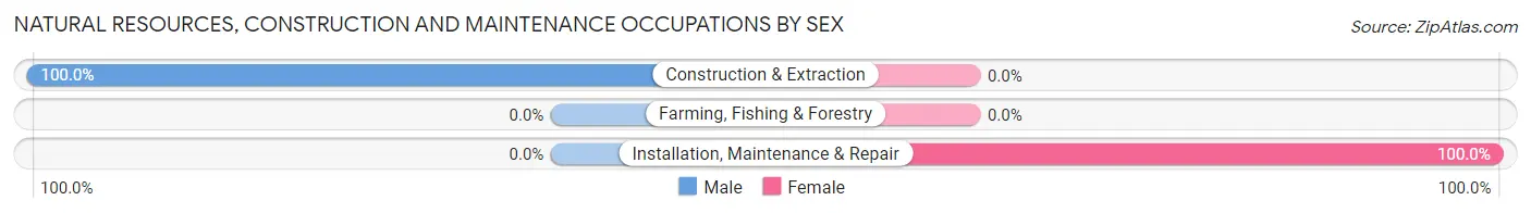Natural Resources, Construction and Maintenance Occupations by Sex in Harrisville
