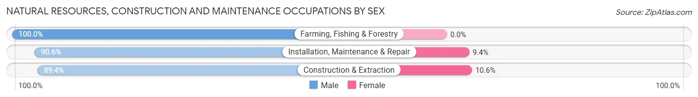 Natural Resources, Construction and Maintenance Occupations by Sex in Haslett