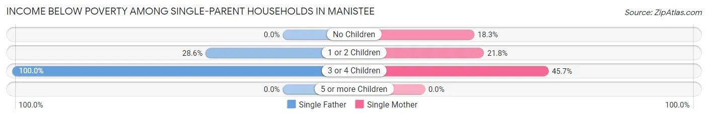 Income Below Poverty Among Single-Parent Households in Manistee