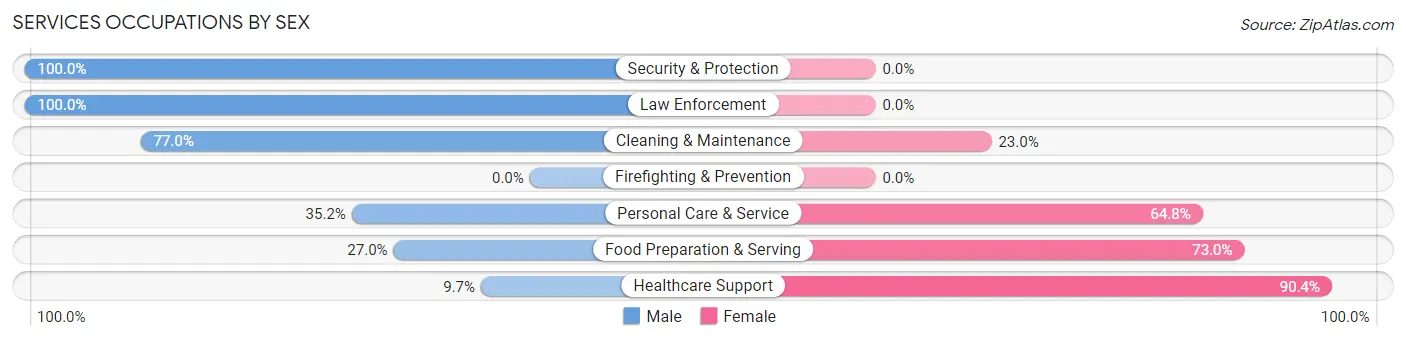 Services Occupations by Sex in Manistee