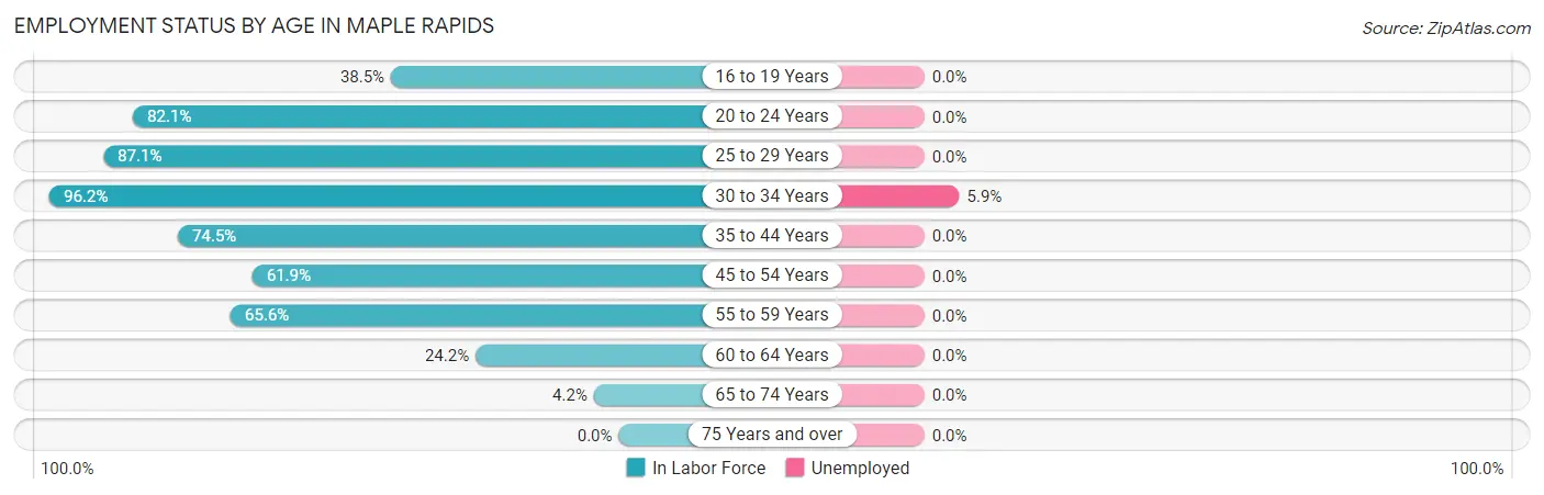 Employment Status by Age in Maple Rapids