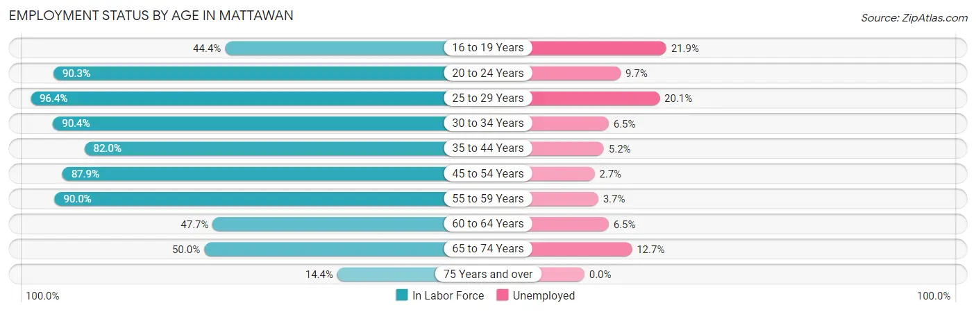 Employment Status by Age in Mattawan
