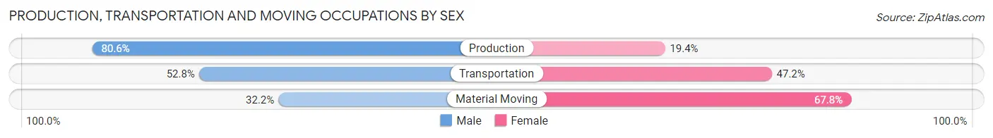 Production, Transportation and Moving Occupations by Sex in Mattawan
