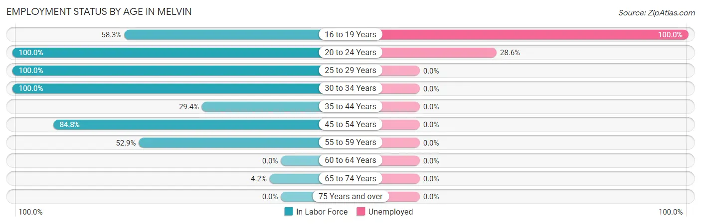Employment Status by Age in Melvin