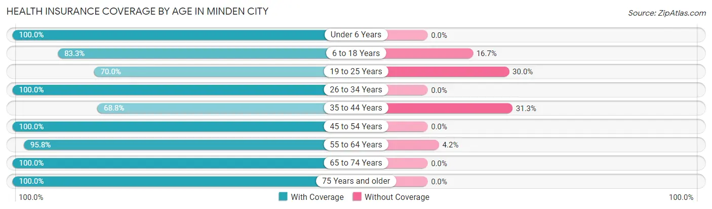 Health Insurance Coverage by Age in Minden City