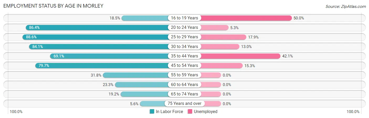 Employment Status by Age in Morley