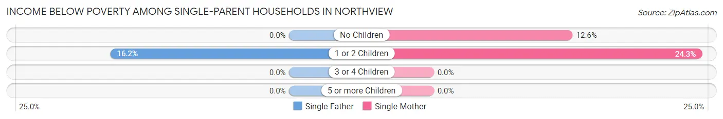 Income Below Poverty Among Single-Parent Households in Northview
