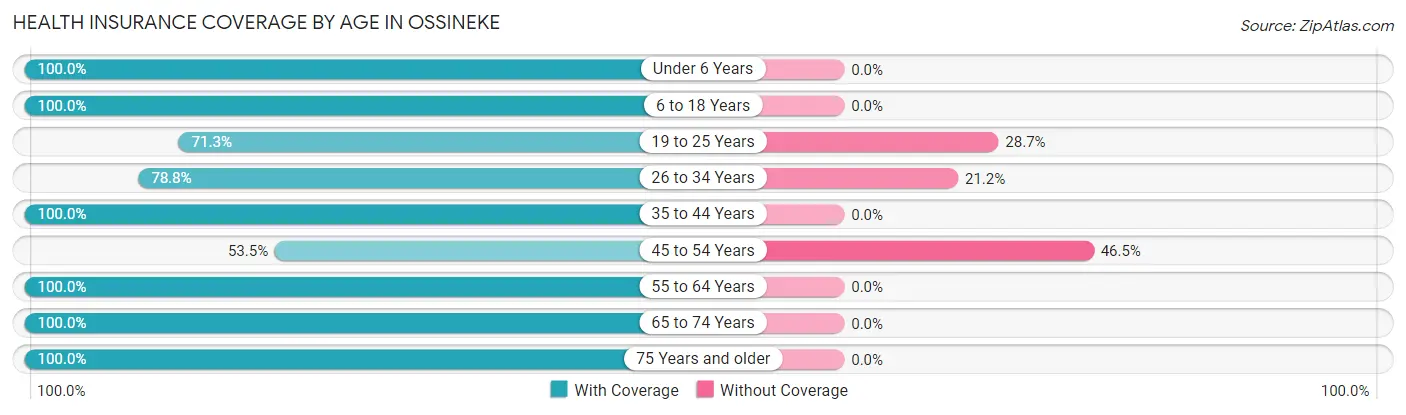 Health Insurance Coverage by Age in Ossineke