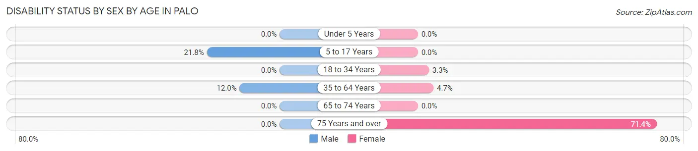 Disability Status by Sex by Age in Palo