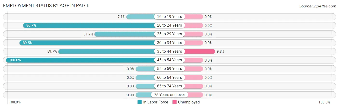 Employment Status by Age in Palo