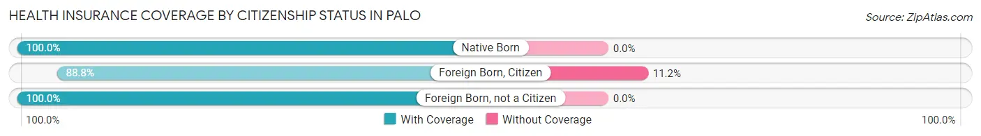 Health Insurance Coverage by Citizenship Status in Palo