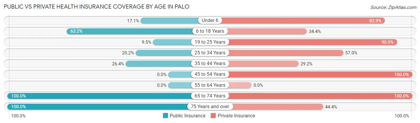 Public vs Private Health Insurance Coverage by Age in Palo