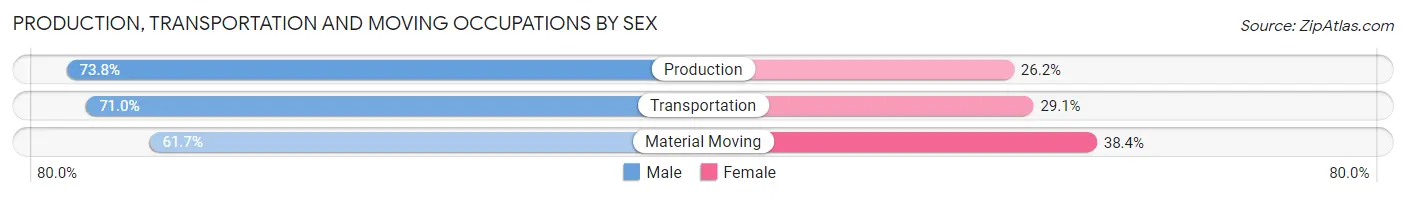 Production, Transportation and Moving Occupations by Sex in Port Huron