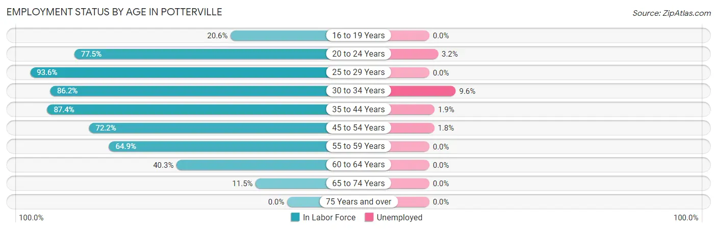 Employment Status by Age in Potterville