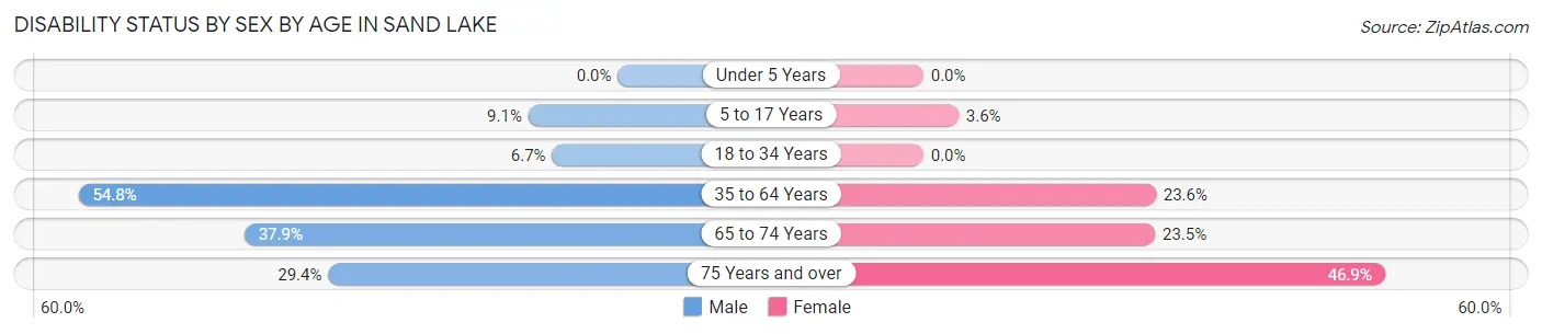 Disability Status by Sex by Age in Sand Lake