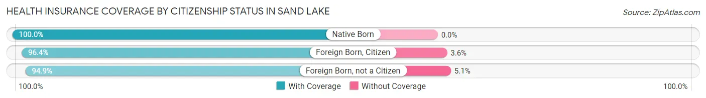 Health Insurance Coverage by Citizenship Status in Sand Lake