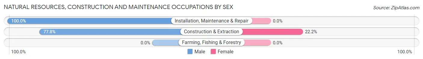 Natural Resources, Construction and Maintenance Occupations by Sex in Sand Lake
