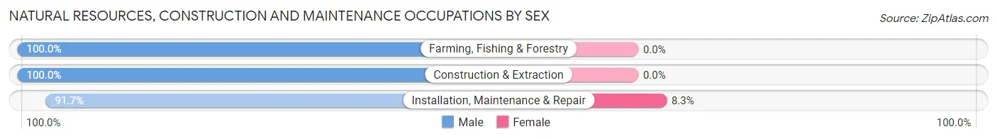 Natural Resources, Construction and Maintenance Occupations by Sex in Sandusky