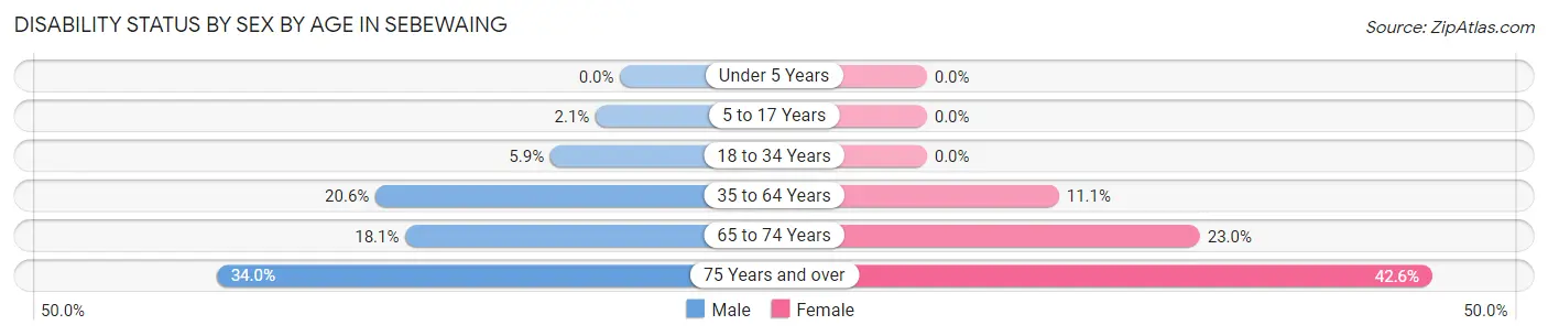 Disability Status by Sex by Age in Sebewaing