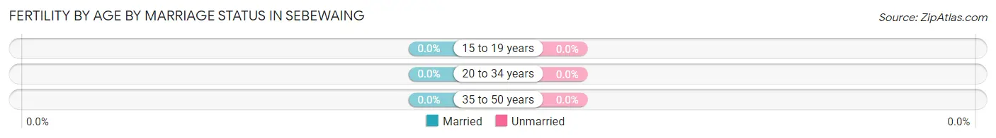 Female Fertility by Age by Marriage Status in Sebewaing