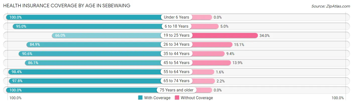 Health Insurance Coverage by Age in Sebewaing