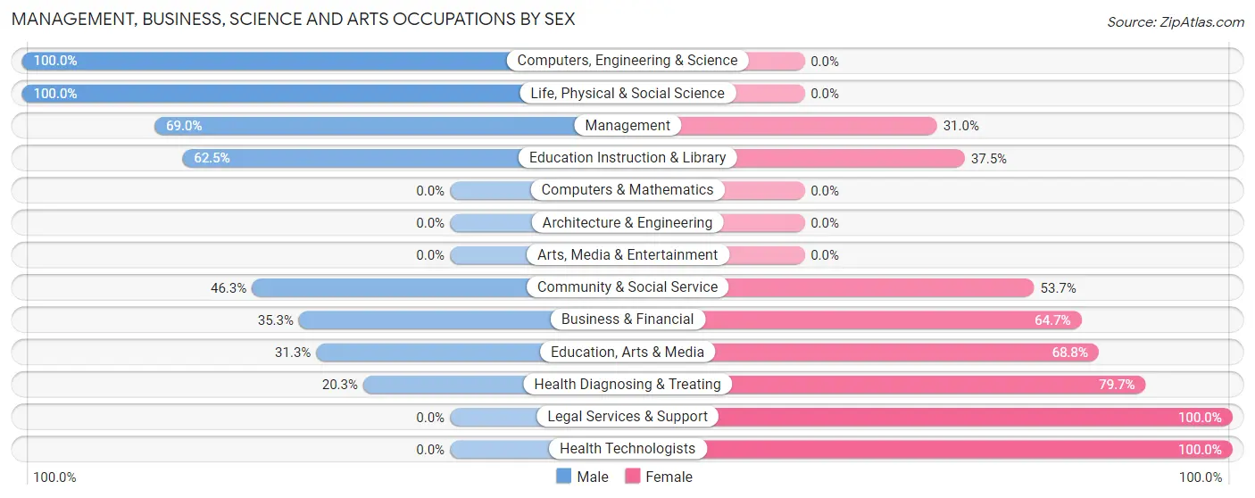 Management, Business, Science and Arts Occupations by Sex in Sebewaing