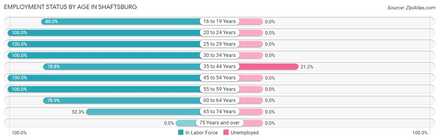 Employment Status by Age in Shaftsburg
