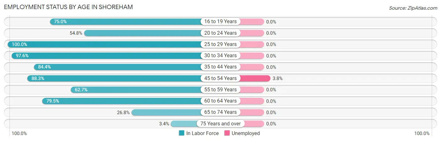 Employment Status by Age in Shoreham