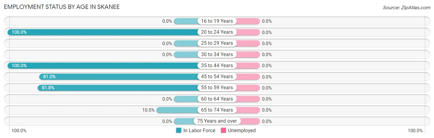 Employment Status by Age in Skanee