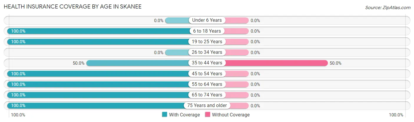 Health Insurance Coverage by Age in Skanee