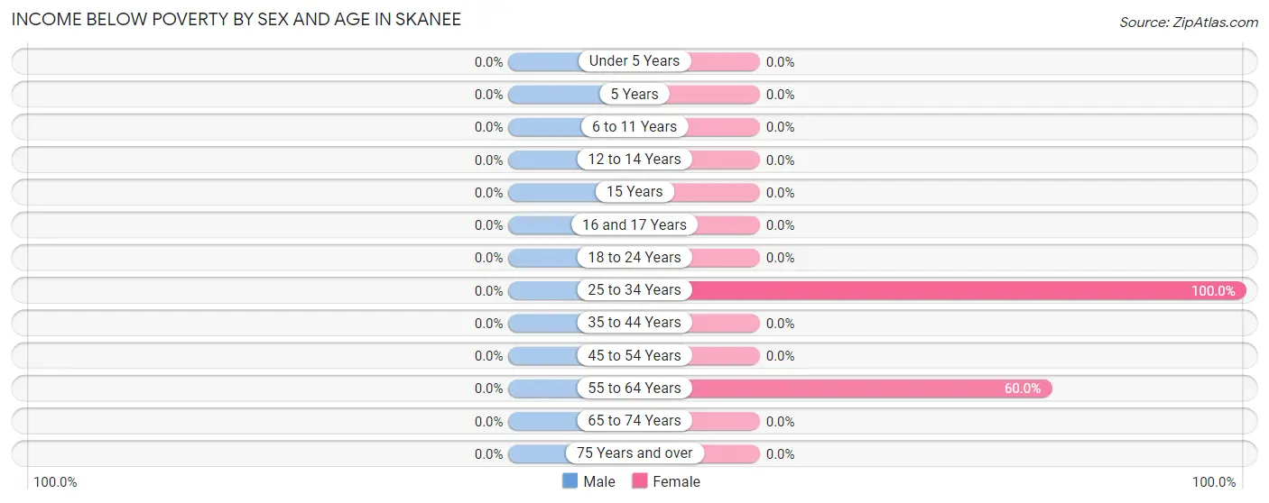 Income Below Poverty by Sex and Age in Skanee
