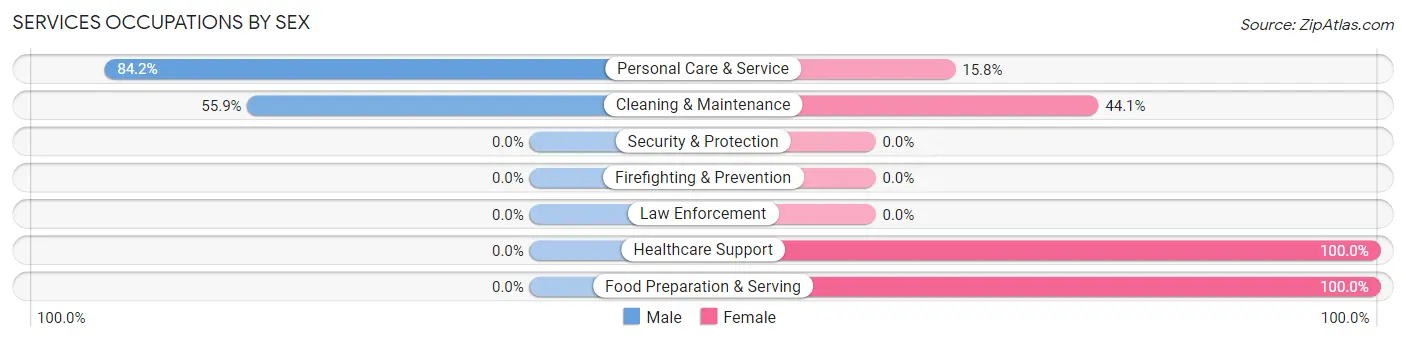 Services Occupations by Sex in South Boardman
